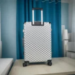 Travel Luggage (White)